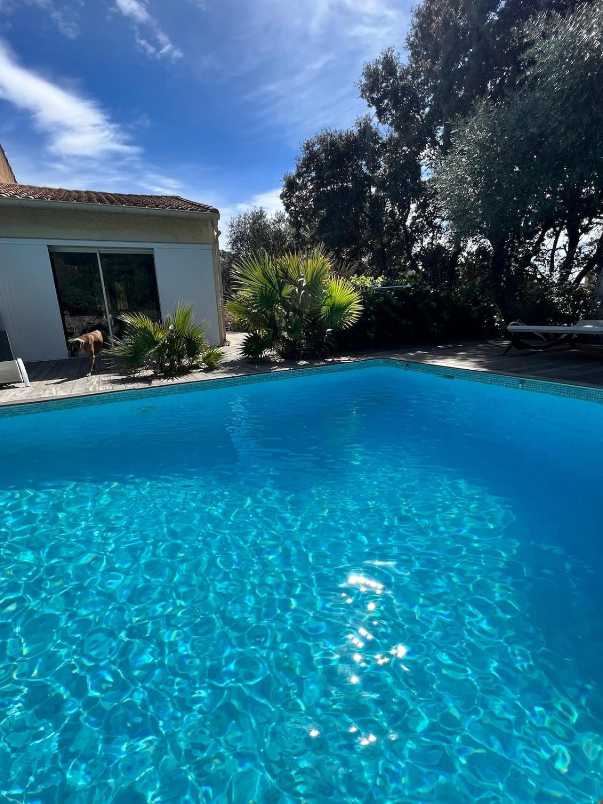 Le Havre De Paix En Garrigue 4 Chambres 3 Sdb Piscine Bezouce Esterno foto